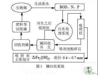 含磷废水处理技术研究进展